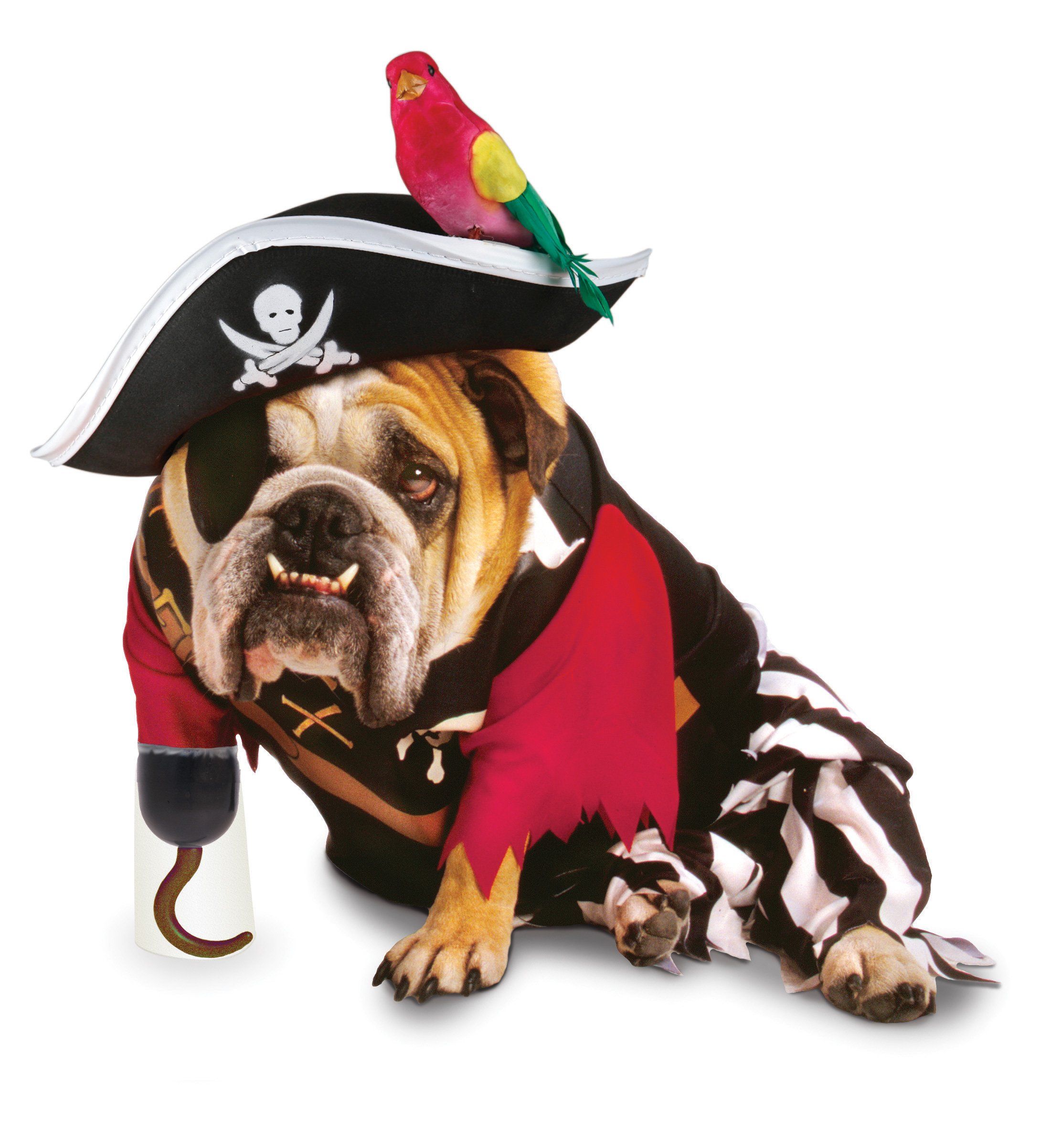 Costume Halloween cane pirata