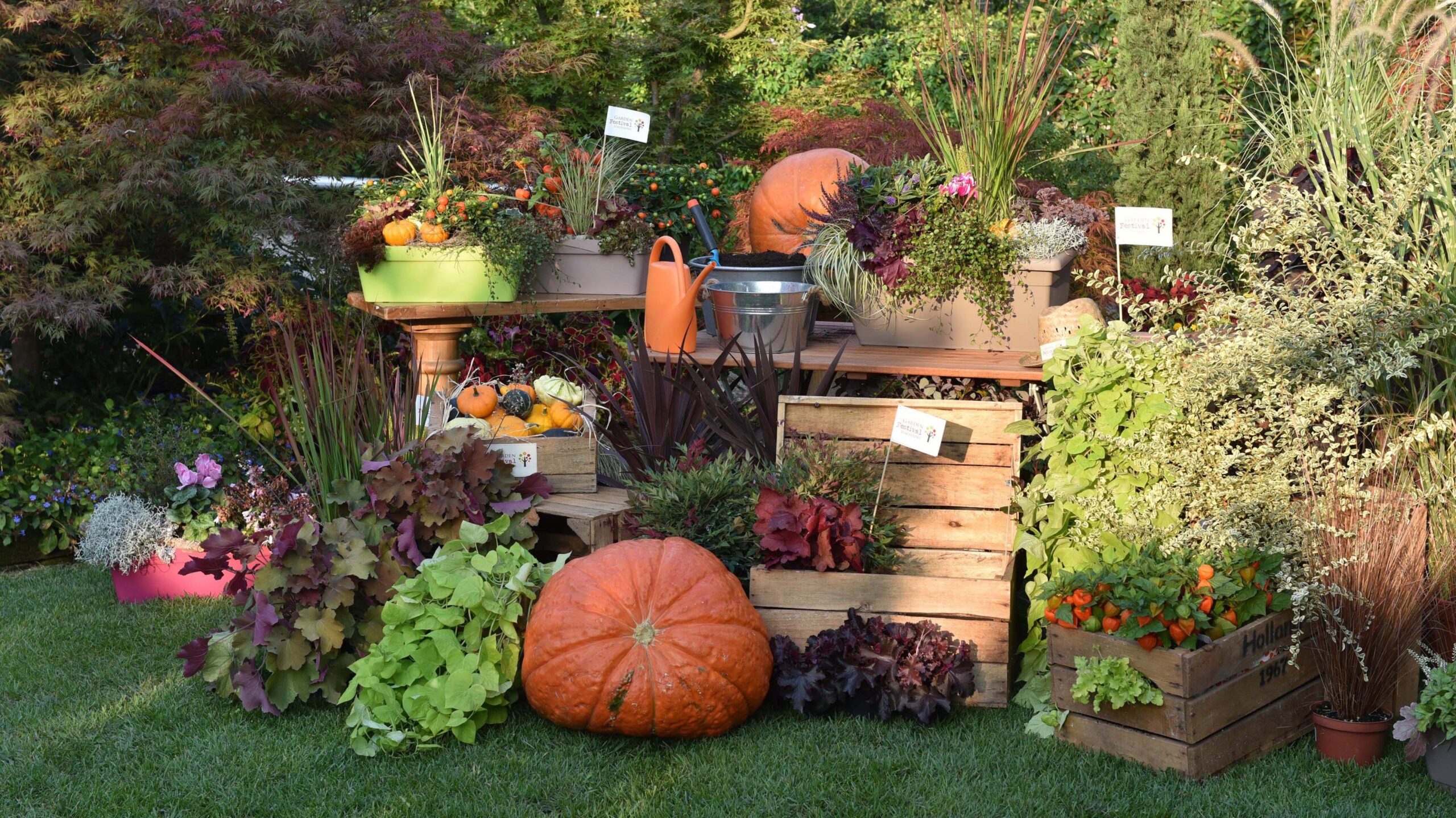 Giardinaggio in autunno in balcone e terrazzo