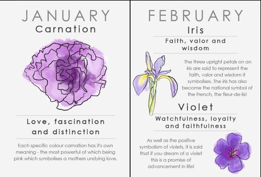 Oroscopo floreale: gennaio e febbraio