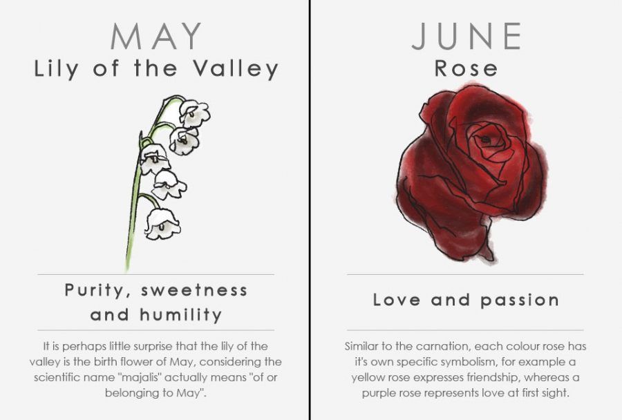 Oroscopo floreale: maggio e giugno