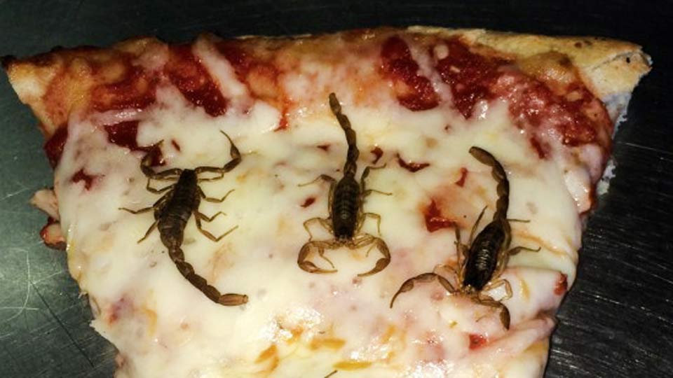 Scorpion pizza