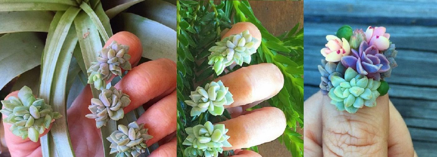 Come realizzare la Nail Art con piante vere