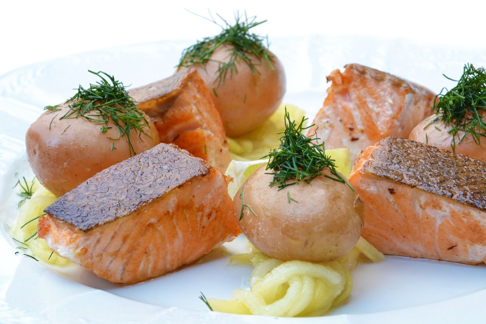 Sentire Odore Di Pesce Significato Come eliminare l'odore di pesce dalla casa