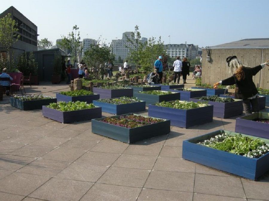 vertical garden