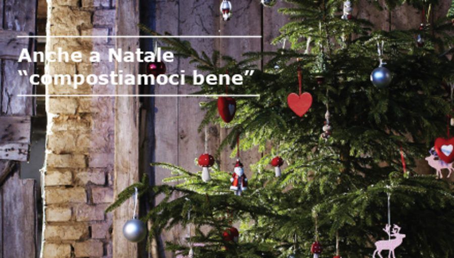 Comprate Un Albero Di Natale Da Ikea Cosi L Ambiente Vi Ringrazia Bigodino