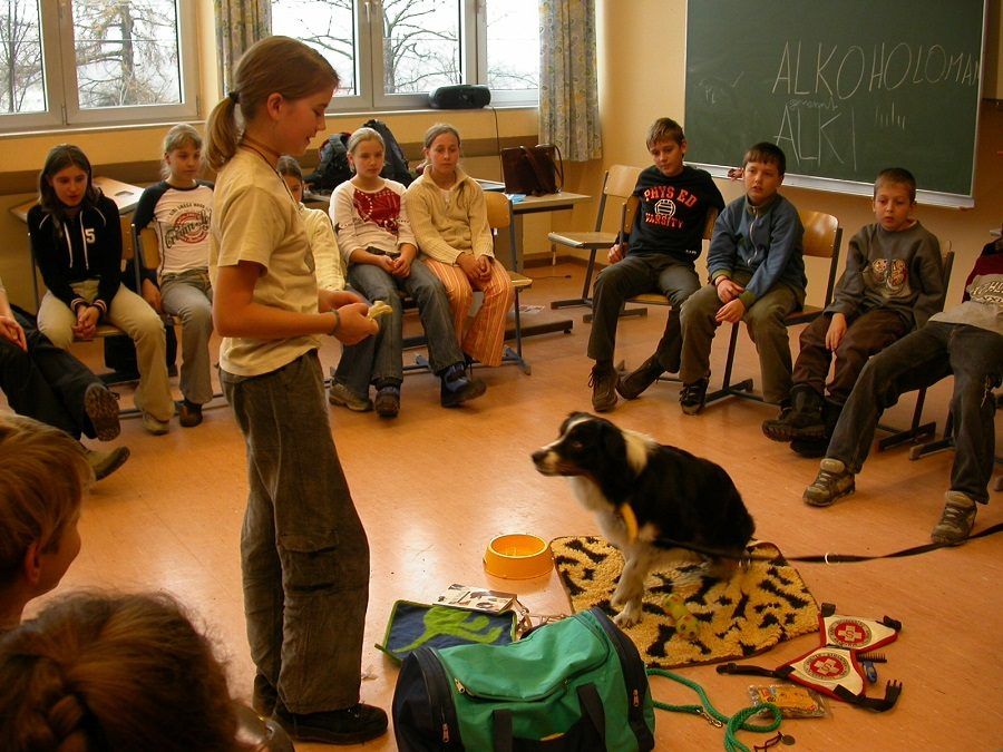 Sessione di educazione del cane