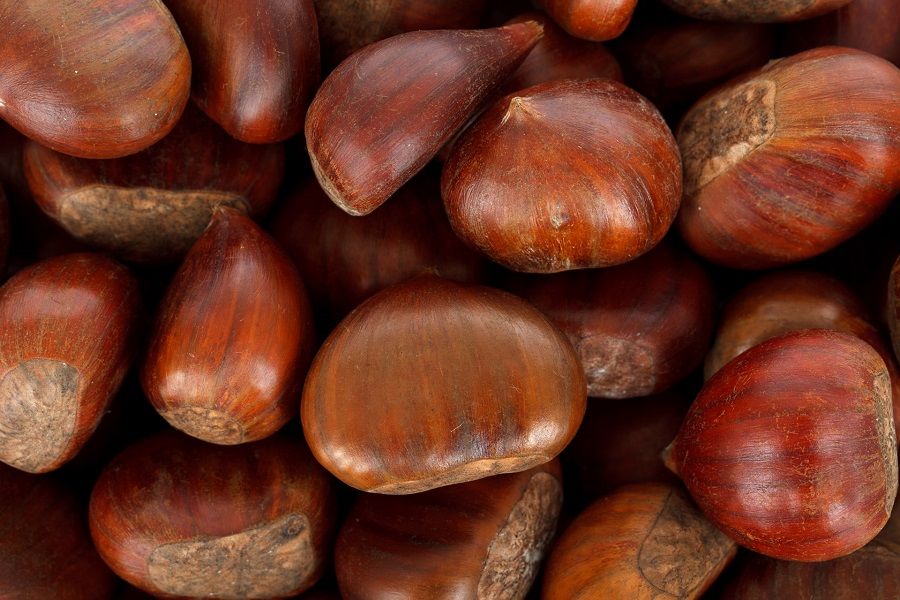 Castagne da mangiare o da usare come rimedio di bellezza?