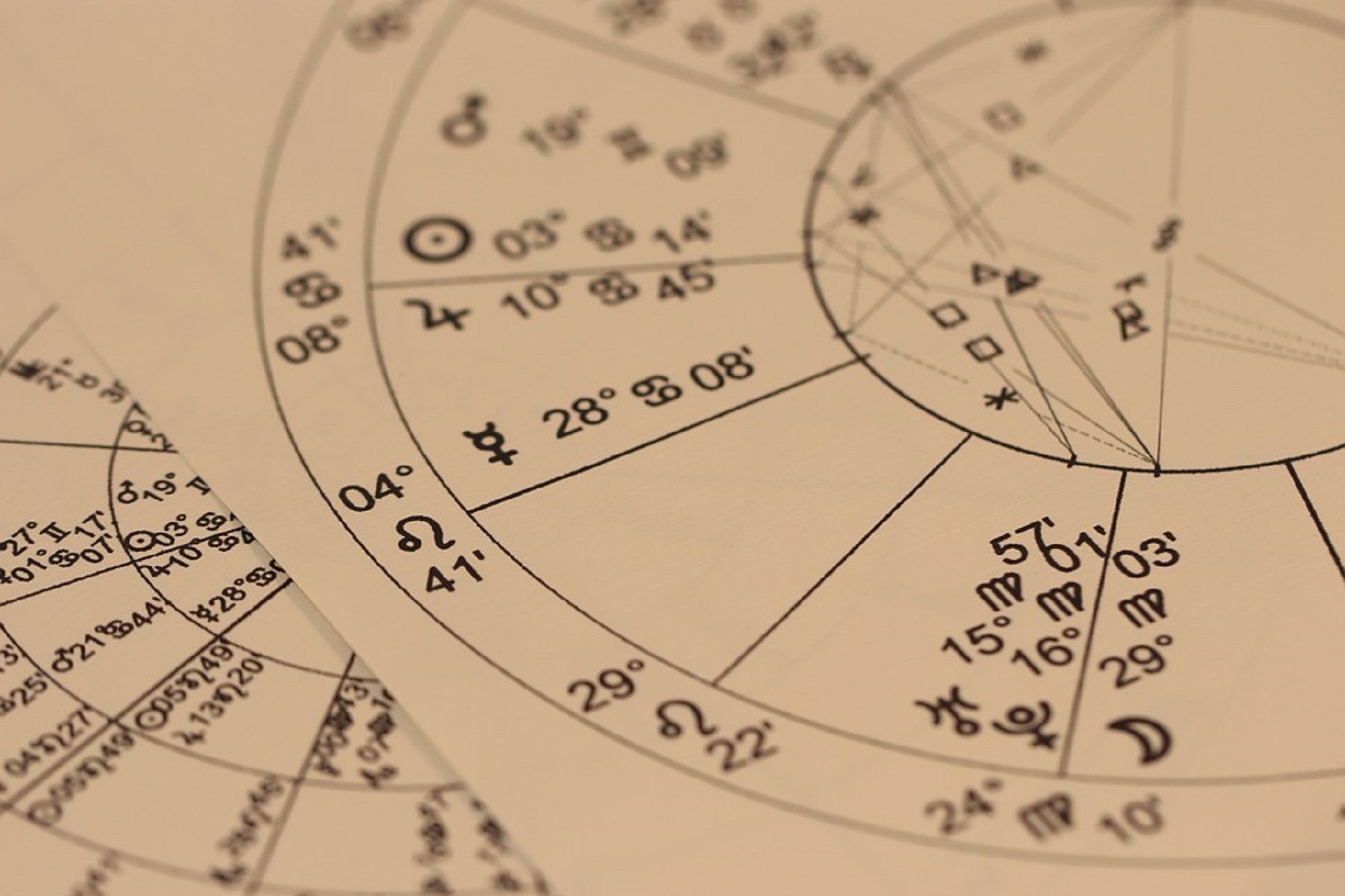 Piante e zodiaco: qual è la pianta giusta per te?