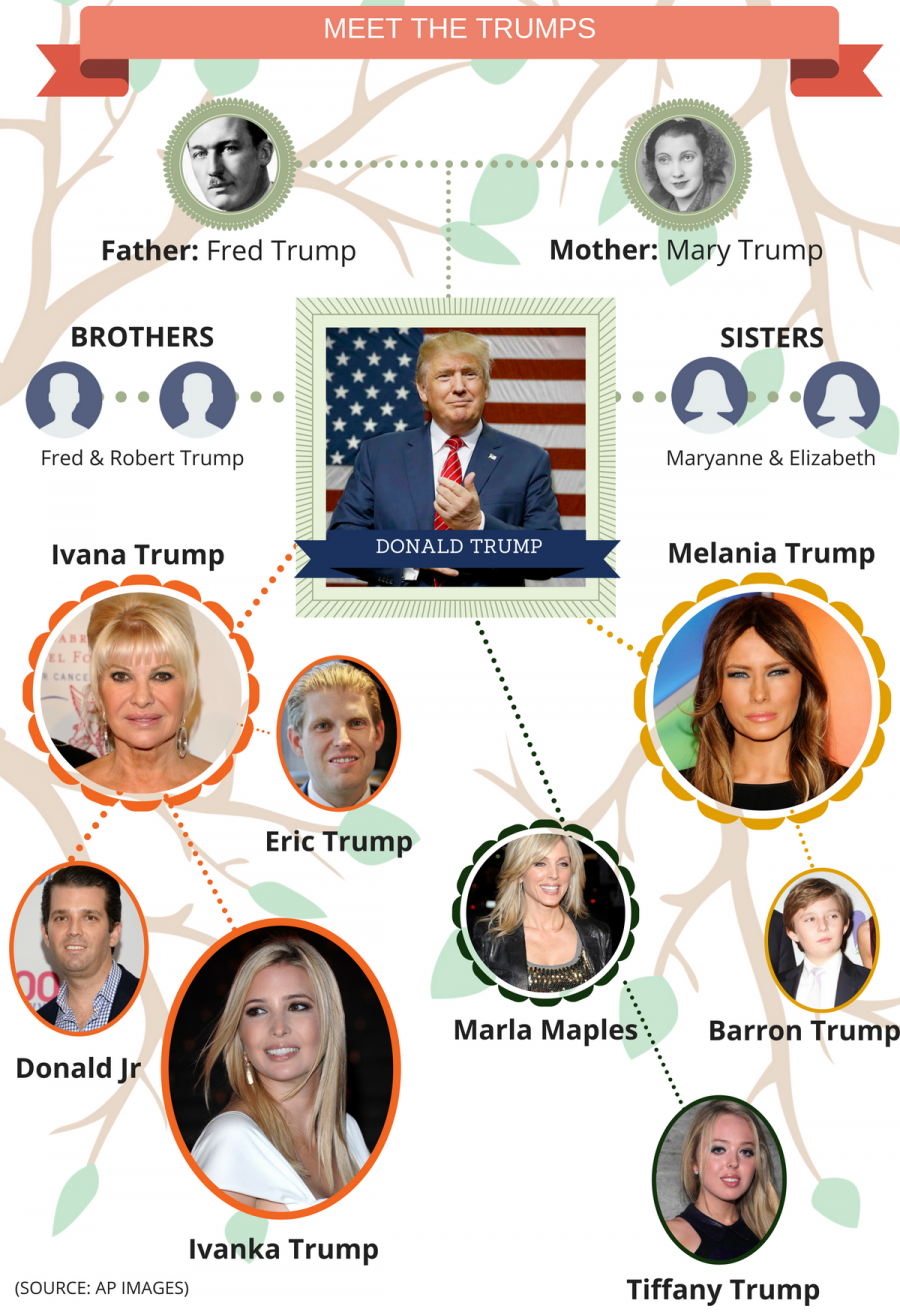 genealogia trump