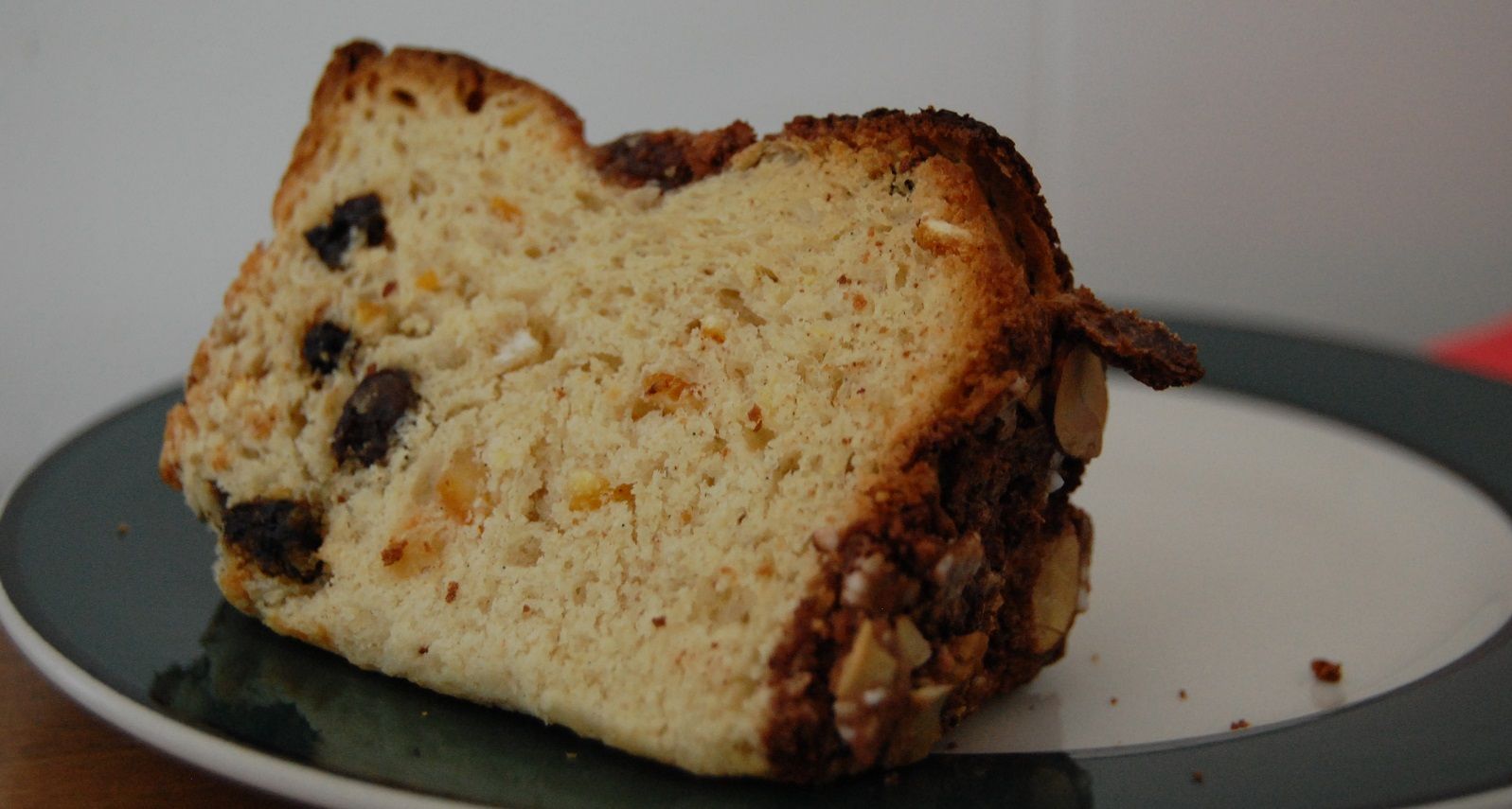 L’uvetta del panettone è tossica per cani e gatti?