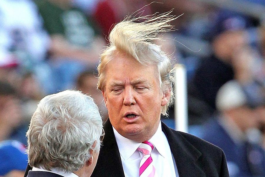 t-donald-trump-loses-fight-to-windmill