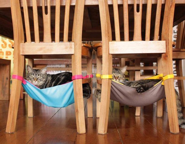 Cucce nascoste sotto le sedie DIY