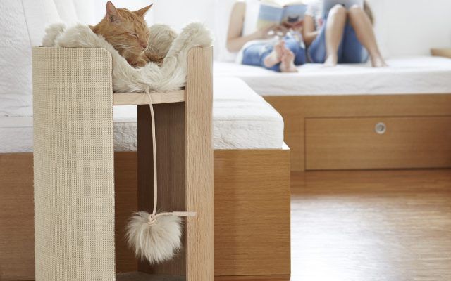 Cuccia di design per uno stile minimal chic