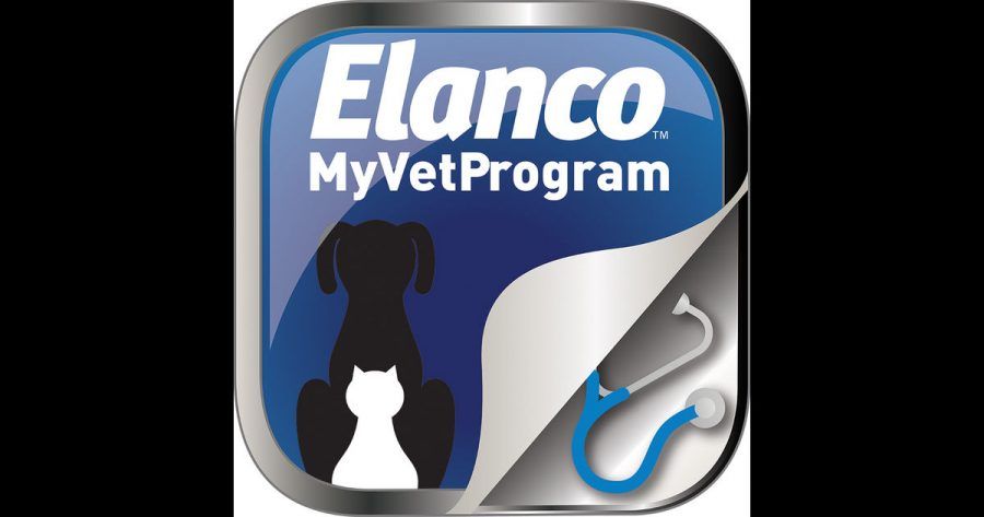 MyVetProgram