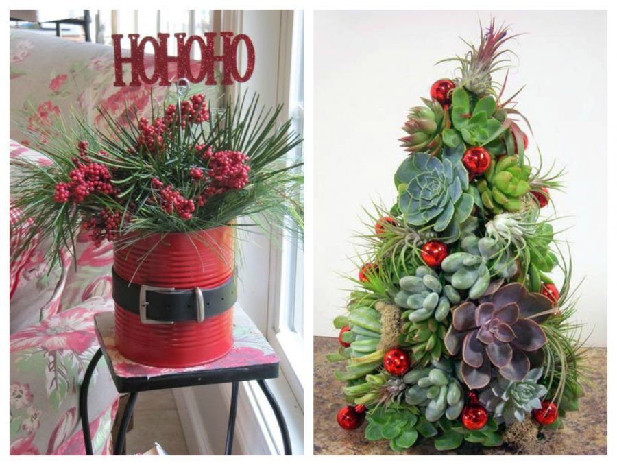 decorare-a-natale-con-le-piante