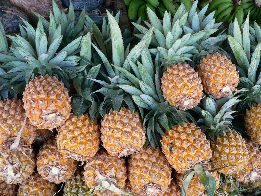 C'è un ananas maturo qui?