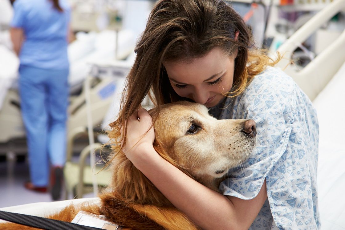 Pet therapy: tutto quello che bisogna sapere