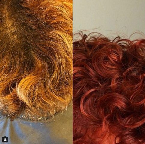 Blorange contro Bloodorange