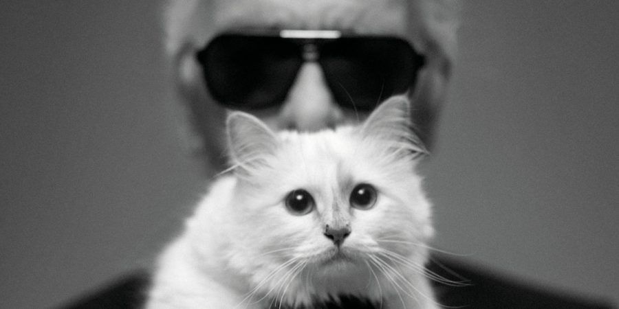 Choupette e Karl Lagerfeld