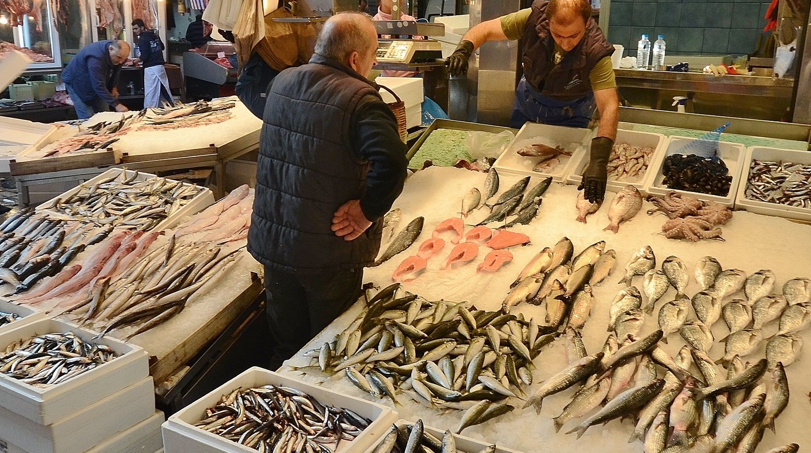 Come scegliere il pesce fresco da portare in tavola