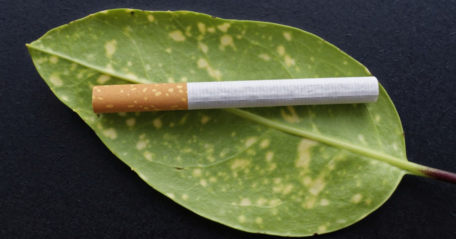 Come eliminare l’alito che sa di sigaretta