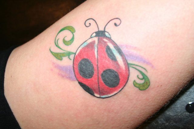 Tatuaggi con coccinelle