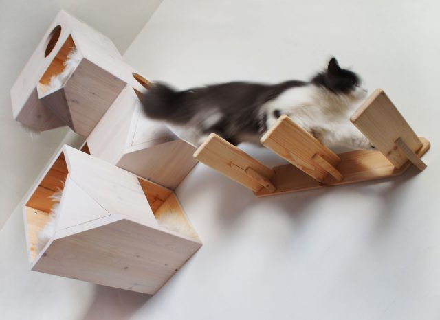 Mensole a parete per far divertire il nostro gatto