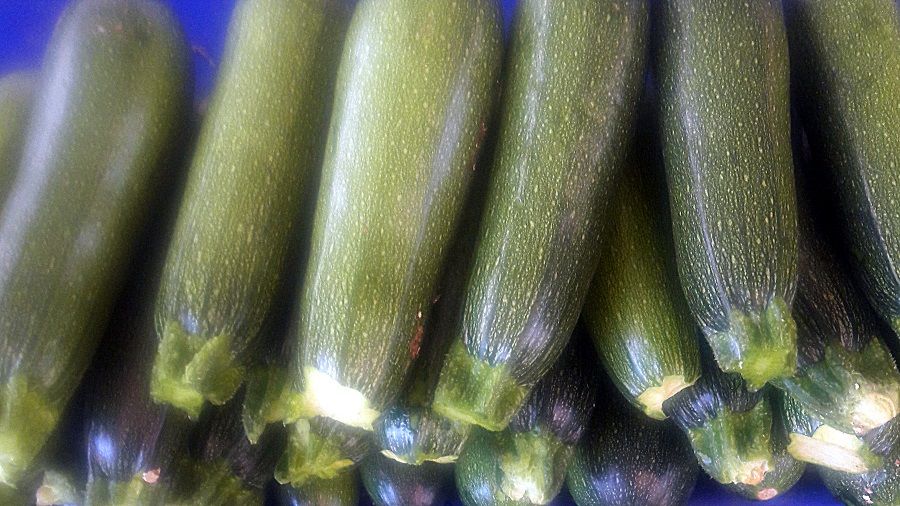 Le patatine di zucchine sono più light