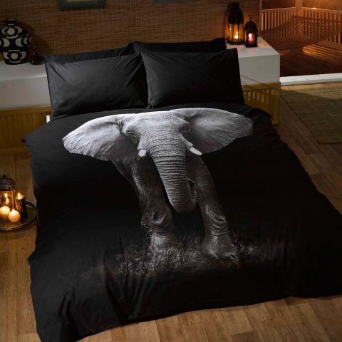 Elefante
