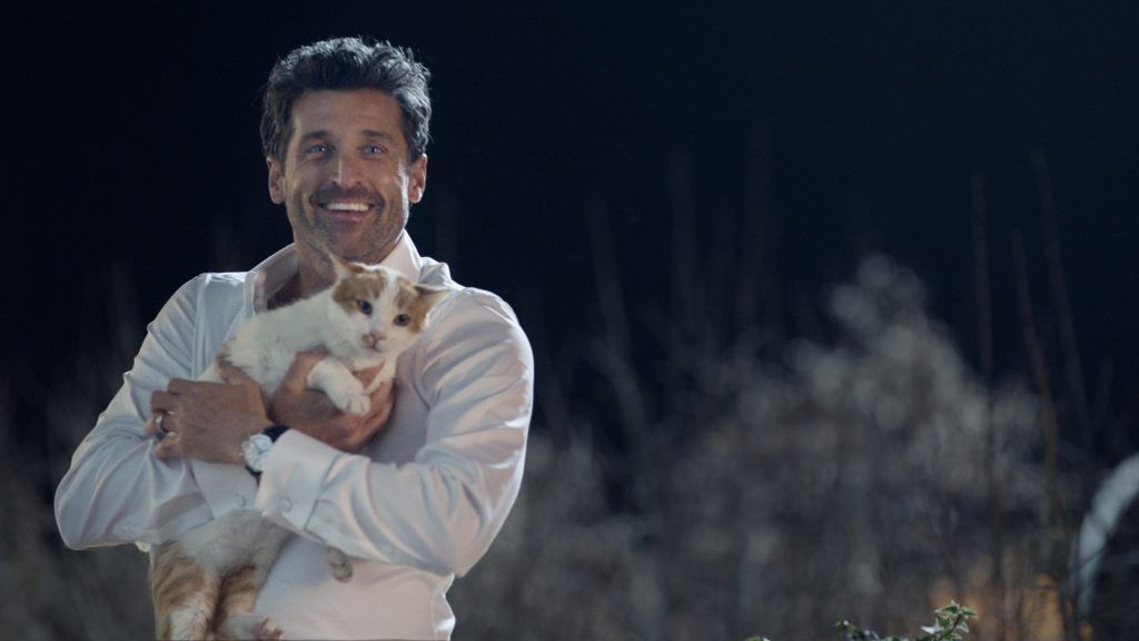 Cosa succede se Patrick Dempsey viene a vivere con un gatto vicino a casa tua?