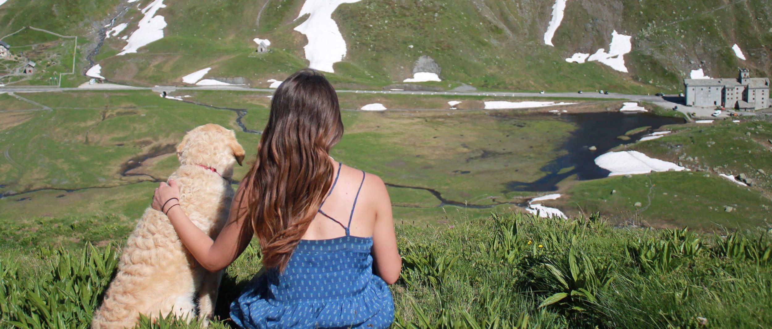 Una ragazza, un cane e un van in giro per il mondo