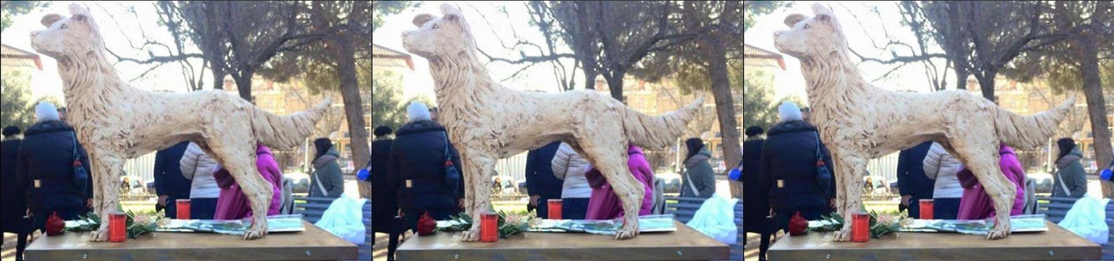 A Roma una statua per Angelo, il cane torturato in Calabria