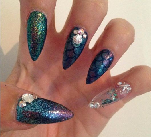 Aquarium Nail, conchiglie