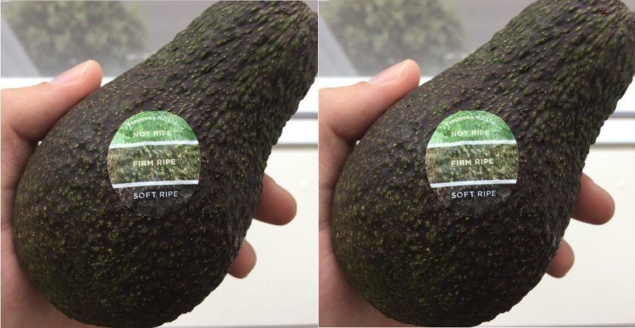 L'adesivo per capire se un avocado è maturo