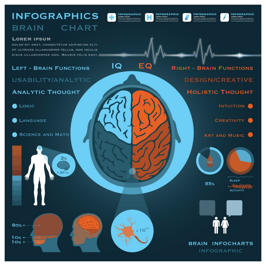 brain-chart-emotional-intelligence-smaller