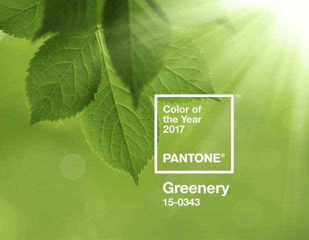 Greenery