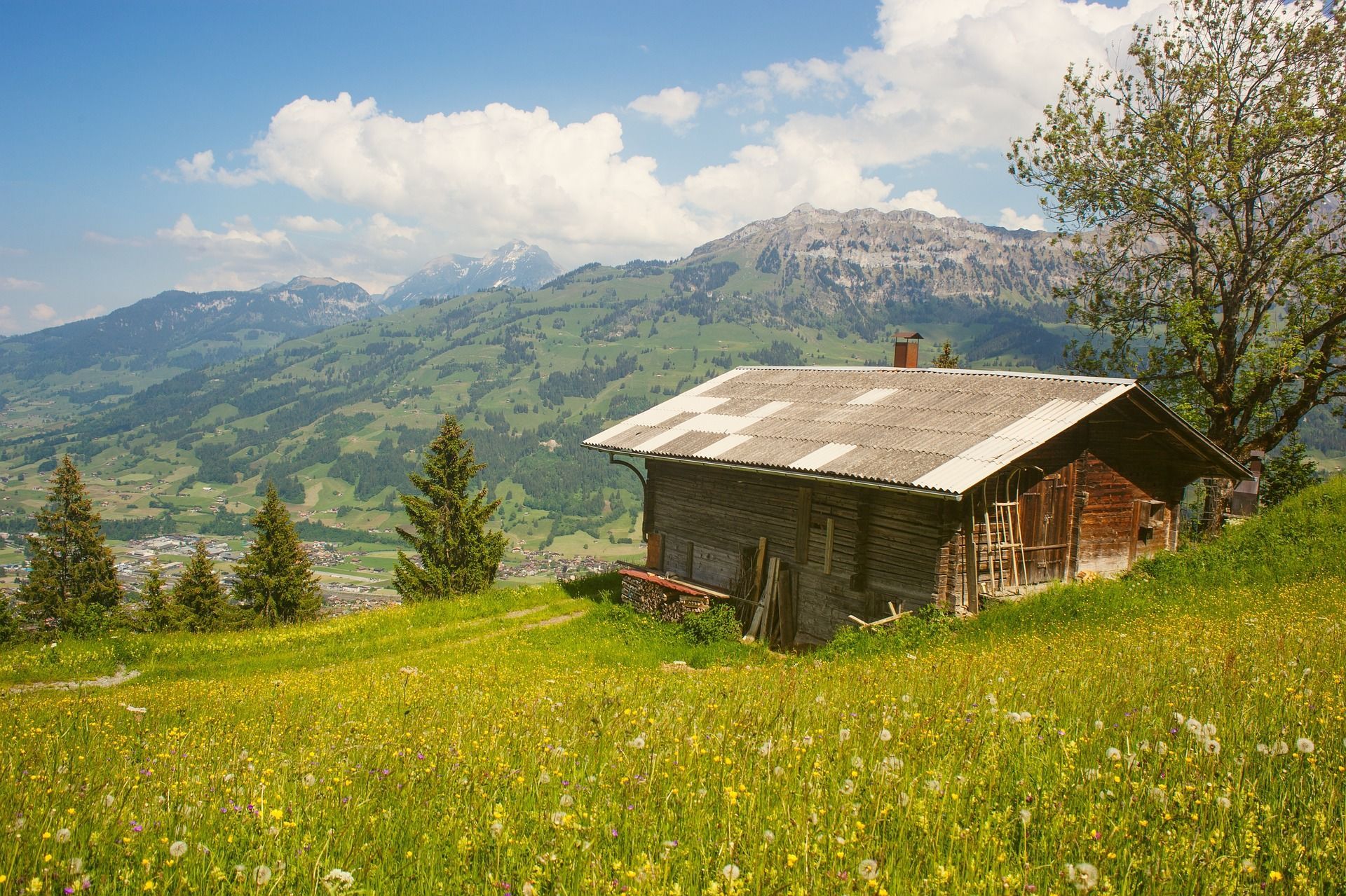 Mangiare in montagna: i migliori rifugi per gustare cibo ad alta quota