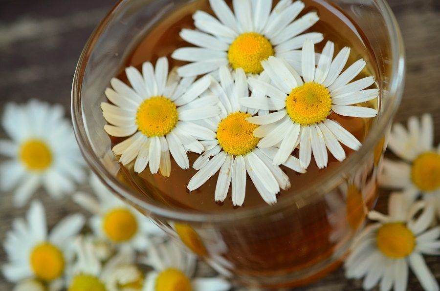 La camomilla è un vecchio rimedio della nonna per schiarire i capelli