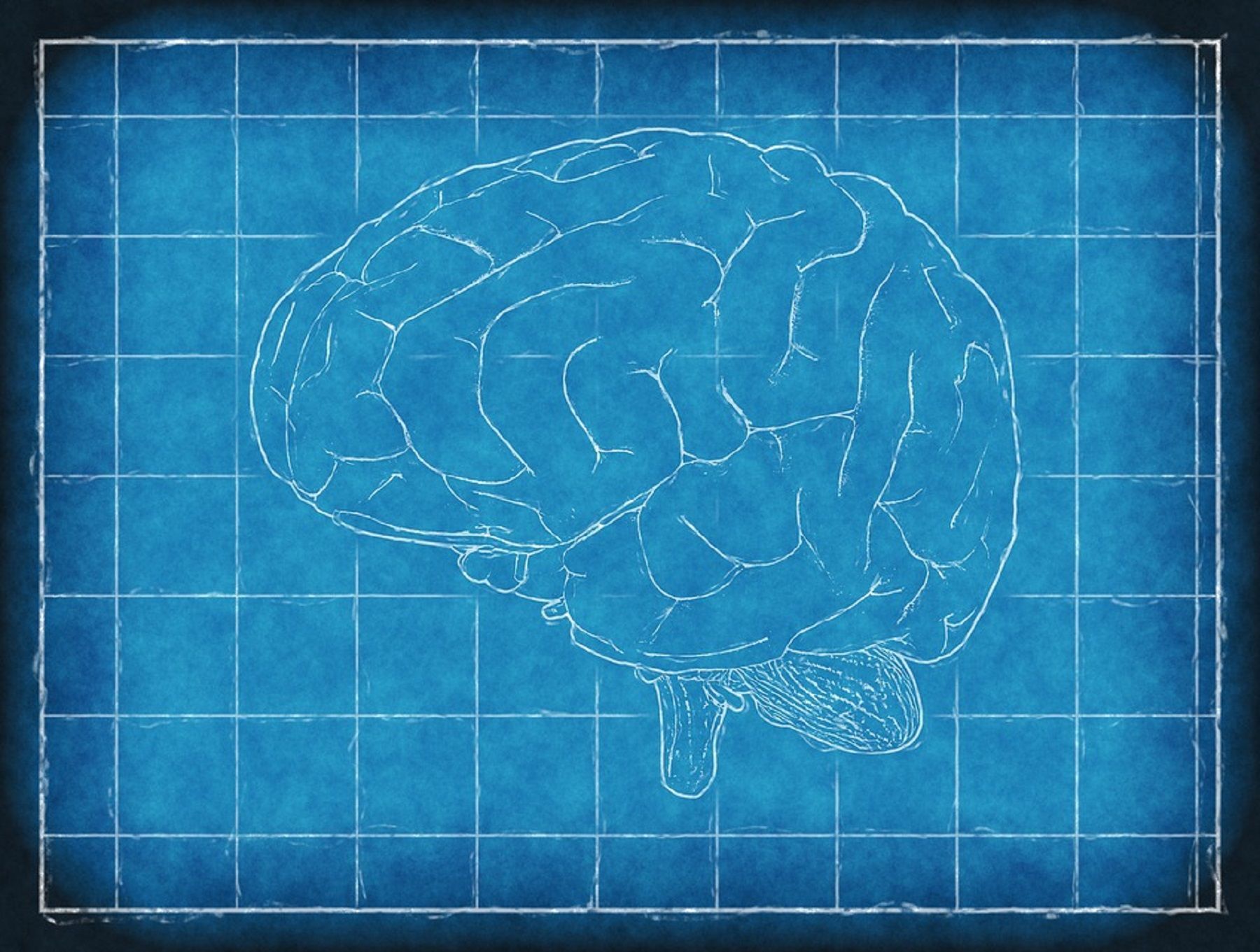 I talenti nascosti degli intelligenti emotivi