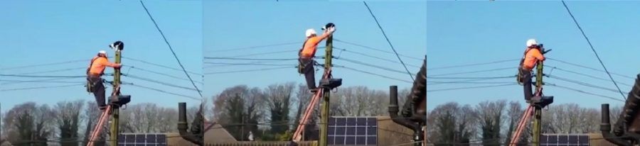 Come far scendere un gatto da un palo elettrico