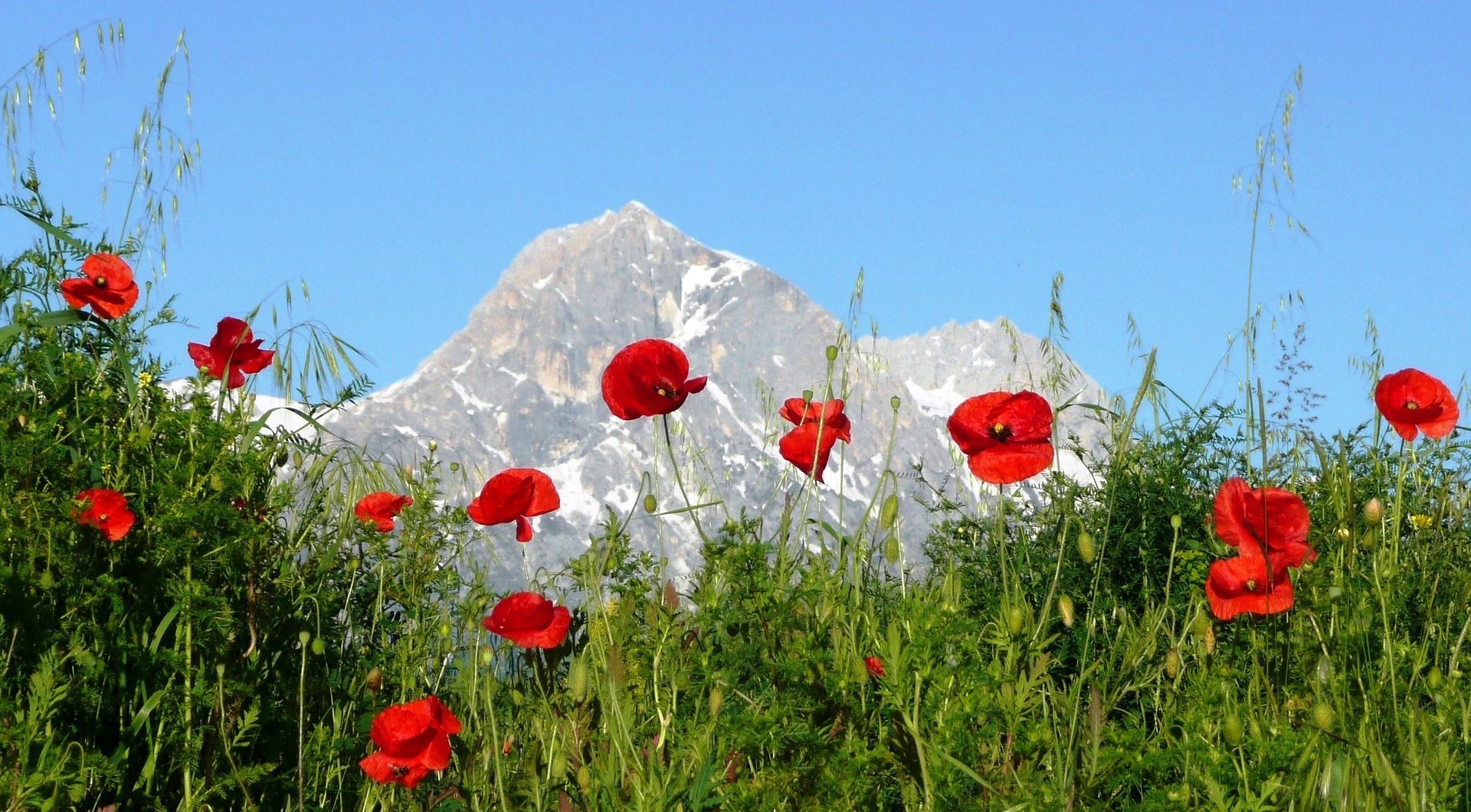 Viaggio in Abruzzo: i borghi più belli da visitare