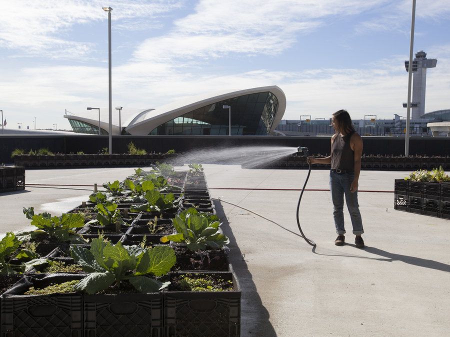 Orto urbano all'aeroporto di New York