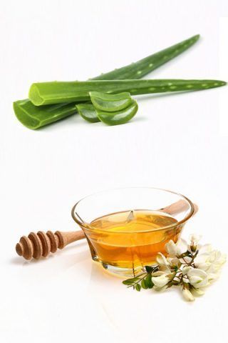 Crema idratante con succo di aloe vera e miele