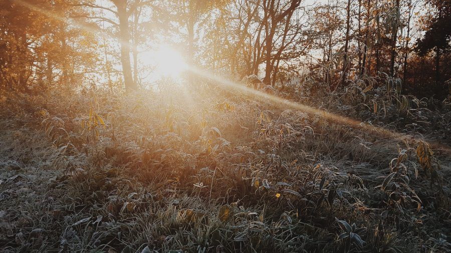 sun-1031037_1280