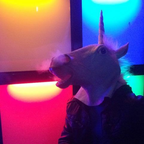 Una testa di unicorno