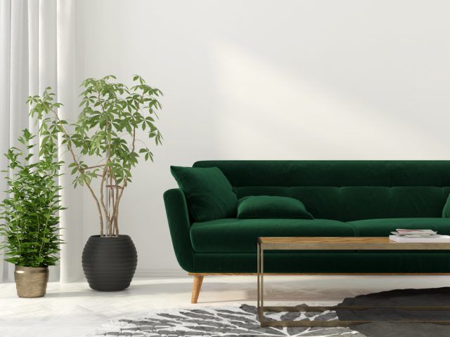 Verde bosco