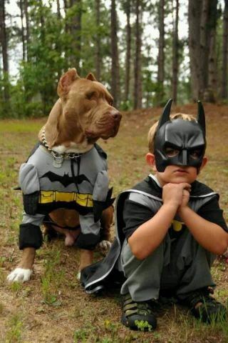 Batman