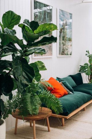 Come giocare con i colori avendo una base neutra
