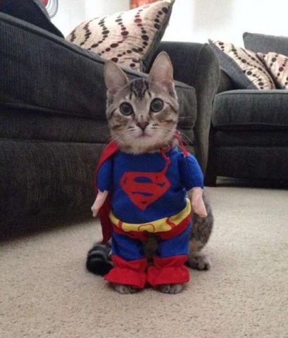 Superman
