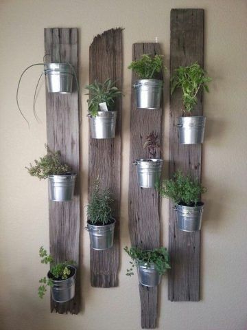 Elementi naturali sul muro